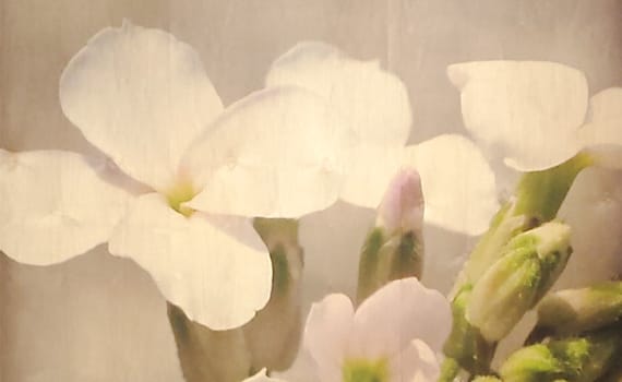 Digital image printed on wood